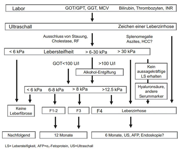 Abbildung 3: Heidelberger Workflow zur Diagnosestellung der alkoholischen Lebererkrankung (ALE)  (modifiziert nach 60)