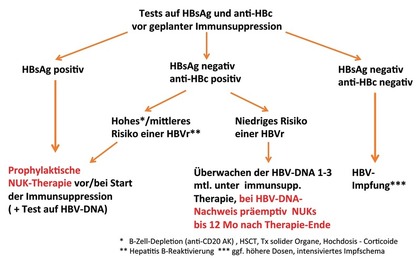 Abb. 1  Algorithmus zum HBV-Screening und zum praktischen Vorgehen bei Patienten mit immun-suppressiver Therapie (modif. nach DGVS-Leitlinie und EASL-CPG-Guideline1,2)