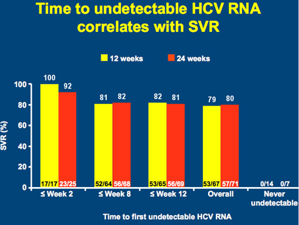 Time to undetectable HCV RNA  correlates with SVR