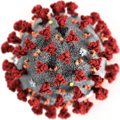 Coronavirus/CDC